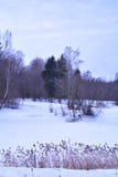 Torra vasser under den molniga himlen arkivbild Torra vasser under den molniga himlen arkivbild