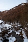Torrent de chamois, chamois, Italie photo stock Torrent de chamois, chamois, Italie photo stock