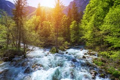 Torrente montano fredda che viene dalla cascata di Savica, Ne di Sava del fiume fotografie stock Torrente montano fredda che viene dalla cascata di Savica, Ne di Sava del fiume fotografie stock