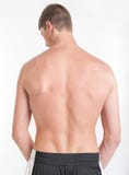 Torso masculino, vista traseira fotos de stock Torso masculino, vista traseira fotos de stock