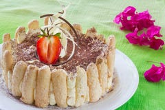 Torta del Tiramisu en fondo verde imágenes de archivo libres de regalías Torta del Tiramisu en fondo verde imágenes de archivo libres de regalías
