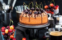 Torta di formaggio casalinga deliziosa del cioccolato decorata con che fresco immagini stock libere da diritti Torta di formaggio casalinga deliziosa del cioccolato decorata con che fresco immagini stock libere da diritti