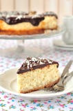 Torta di formaggio della noce di cocco immagini stock libere da diritti Torta di formaggio della noce di cocco immagini stock libere da diritti