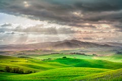 Toscanië, landelijk zonsonderganglandschap. Plattelandslandbouwbedrijf, witte weg en cipresbomen. royalty-vrije stock afbeelding Toscanië, landelijk zonsonderganglandschap. Plattelandslandbouwbedrijf, witte weg en cipresbomen. royalty-vrije stock afbeelding