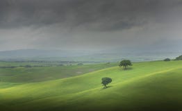 Toscânia, paisagem rural do por do sol de Senesi da Creta Exploração agrícola do campo Italy, Europa fotografia de stock Toscânia, paisagem rural do por do sol de Senesi da Creta Exploração agrícola do campo Italy, Europa fotografia de stock