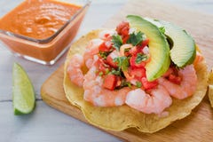 Tostadas DE camaron Mexicanas, garnalentostada, Mexicaans voedsel in Mexico, zeevruchten stock afbeeldingen Tostadas DE camaron Mexicanas, garnalentostada, Mexicaans voedsel in Mexico, zeevruchten stock afbeeldingen