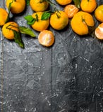 Totalité et tranches de mandarines avec le feuillage photos libres de droits Totalité et tranches de mandarines avec le feuillage photos libres de droits
