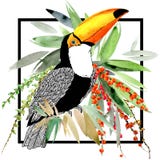 toucan Экзотическая предпосылка природы завод тропический бесплатная иллюстрация toucan Экзотическая предпосылка природы завод тропический бесплатная иллюстрация