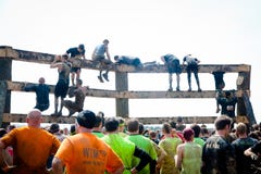 Tough Mudder: Wall Climb Challenge royalty free stock photography Tough Mudder: Wall Climb Challenge royalty free stock photography