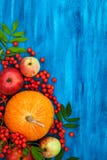 Toujours la vie automnale avec des potirons, des pommes et la sorbe Photo libre de droits Toujours la vie automnale avec des potirons, des pommes et la sorbe Photo libre de droits