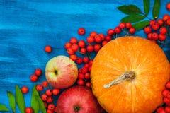 Toujours la vie automnale avec des potirons, des pommes et la sorbe Photo libre de droits Toujours la vie automnale avec des potirons, des pommes et la sorbe Photo libre de droits