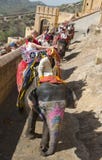 Tour d'éléphant, Inda Travel, touristes photographie stock Tour d'éléphant, Inda Travel, touristes photographie stock