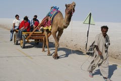 Tourist Travelling In India On A Cart Pulled By Camel Royalty Free Stock Images