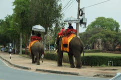 Touristen, die zurück auf Elefanten, Thailand fahren stockfotografie Touristen, die zurück auf Elefanten, Thailand fahren stockfotografie
