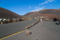 Touristes montant des chameaux en parc national de Timanfaya images stock Touristes montant des chameaux en parc national de Timanfaya images stock