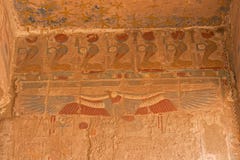 Touristes sur des chameaux dans Egyptqueen de hatshepsut, les ruines du temple photo libre de droits Touristes sur des chameaux dans Egyptqueen de hatshepsut, les ruines du temple photo libre de droits