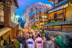 Tourists at old town Kyoto, the Higashiyama District during sakura season royalty free stock image Tourists at old town Kyoto, the Higashiyama District during sakura season royalty free stock image