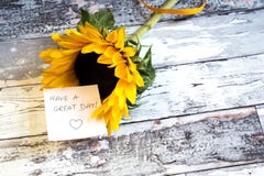 Tournesol sur le fond en bois image libre de droits Tournesol sur le fond en bois image libre de droits