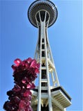 Tower of fuchsia Chihuly at Space Needle royalty free stock photos Tower of fuchsia Chihuly at Space Needle royalty free stock photos