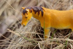 Toy horse photographed outside in dry grass royalty free stock photos Toy horse photographed outside in dry grass royalty free stock photos