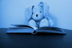 A rabbit plush toy sitting behind an open book stock images A rabbit plush toy sitting behind an open book stock images