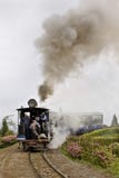 Toy Train In Darjeeling Stock Image