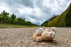 Toys lying on the street stock images Toys lying on the street stock images