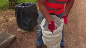 Trabajador que clasifica las botellas plásticas en bolso metrajes Trabajador que clasifica las botellas plásticas en bolso metrajes