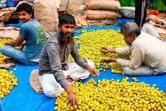 Trabajo barbudo del comerciante de las frutas de los musulmanes sobre la calle mA fotos de archivo Trabajo barbudo del comerciante de las frutas de los musulmanes sobre la calle mA fotos de archivo