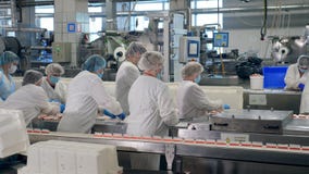 Trabalhadores de planta no alimento uniforme do bloco de uma linha movente vídeos de arquivo Trabalhadores de planta no alimento uniforme do bloco de uma linha movente vídeos de arquivo