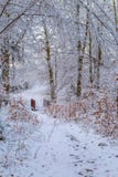 Traccia innevata della foresta con una passerella di legno l fotografia stock Traccia innevata della foresta con una passerella di legno l fotografia stock