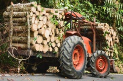 Tractor anaranjado o madera cargada en el bosque, natural de madera fresco del camión aserrado fotos de archivo Tractor anaranjado o madera cargada en el bosque, natural de madera fresco del camión aserrado fotos de archivo