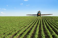 Tractor spraying soybean crop field stock images Tractor spraying soybean crop field stock images