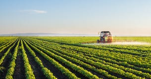 Tractor Spraying Soybean Field Royalty Free Stock Photos
