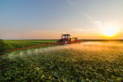 Tractor Spraying Vegetable Field At Spring Royalty Free Stock Image