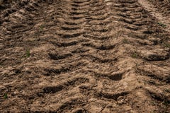 Tractor wheel tracks on the ground royalty free stock photo Tractor wheel tracks on the ground royalty free stock photo