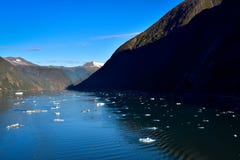 Tracy Arm Fjord mit Eisbergen stockfotografie Tracy Arm Fjord mit Eisbergen stockfotografie