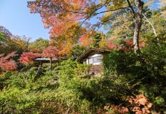 Tradiotioanal House In Autumn Japanese Garden With Maple Royalty Free Stock Photography Tradiotioanal House In Autumn Japanese Garden With Maple Royalty Free Stock Photography