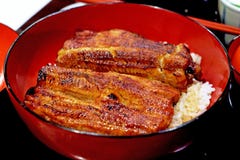 Traditional Japanese food, Unadon, unagi with boiled rice royalty free stock images Traditional Japanese food, Unadon, unagi with boiled rice royalty free stock images