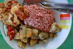 Traditional Javanese food containing red rice with eggplant and egg dishe royalty free stock photography Traditional Javanese food containing red rice with eggplant and egg dishe royalty free stock photography