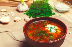 Traditional Ukrainian borsch, red beet soup, borshch with beet, Ukrainian and russian national food royalty free stock image Traditional Ukrainian borsch, red beet soup, borshch with beet, Ukrainian and russian national food royalty free stock image