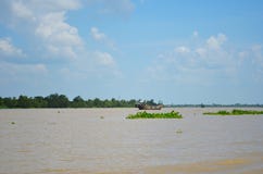 Traditional Vietnamese wooden boats on the Mekong. Stock Images Traditional Vietnamese wooden boats on the Mekong. Stock Images