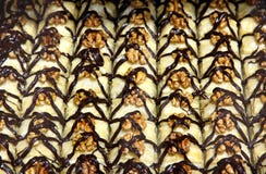 Traditioneel Turks baklavadessert royalty-vrije stock afbeelding Traditioneel Turks baklavadessert royalty-vrije stock afbeelding