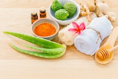 Traditionellt av thai ingredienser för hudomsorg arkivbild Traditionellt av thai ingredienser för hudomsorg arkivbild