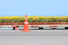 Trafikera kotten på vägen med blomman och seascape som bakgrund Royaltyfria Bilder Trafikera kotten på vägen med blomman och seascape som bakgrund Royaltyfria Bilder