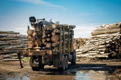 Tragendes Holz des LKWs lizenzfreie stockfotografie Tragendes Holz des LKWs lizenzfreie stockfotografie