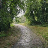 Trail Debris royalty free stock photography Trail Debris royalty free stock photography