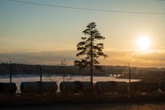 Train cargo in railroad at a sunset royalty free stock photos Train cargo in railroad at a sunset royalty free stock photos