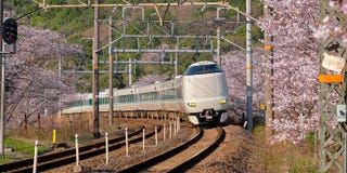 Train in cherry blossom stock photo Train in cherry blossom stock photo