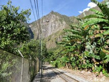 The train tracks of Peru Rail stock image The train tracks of Peru Rail stock image